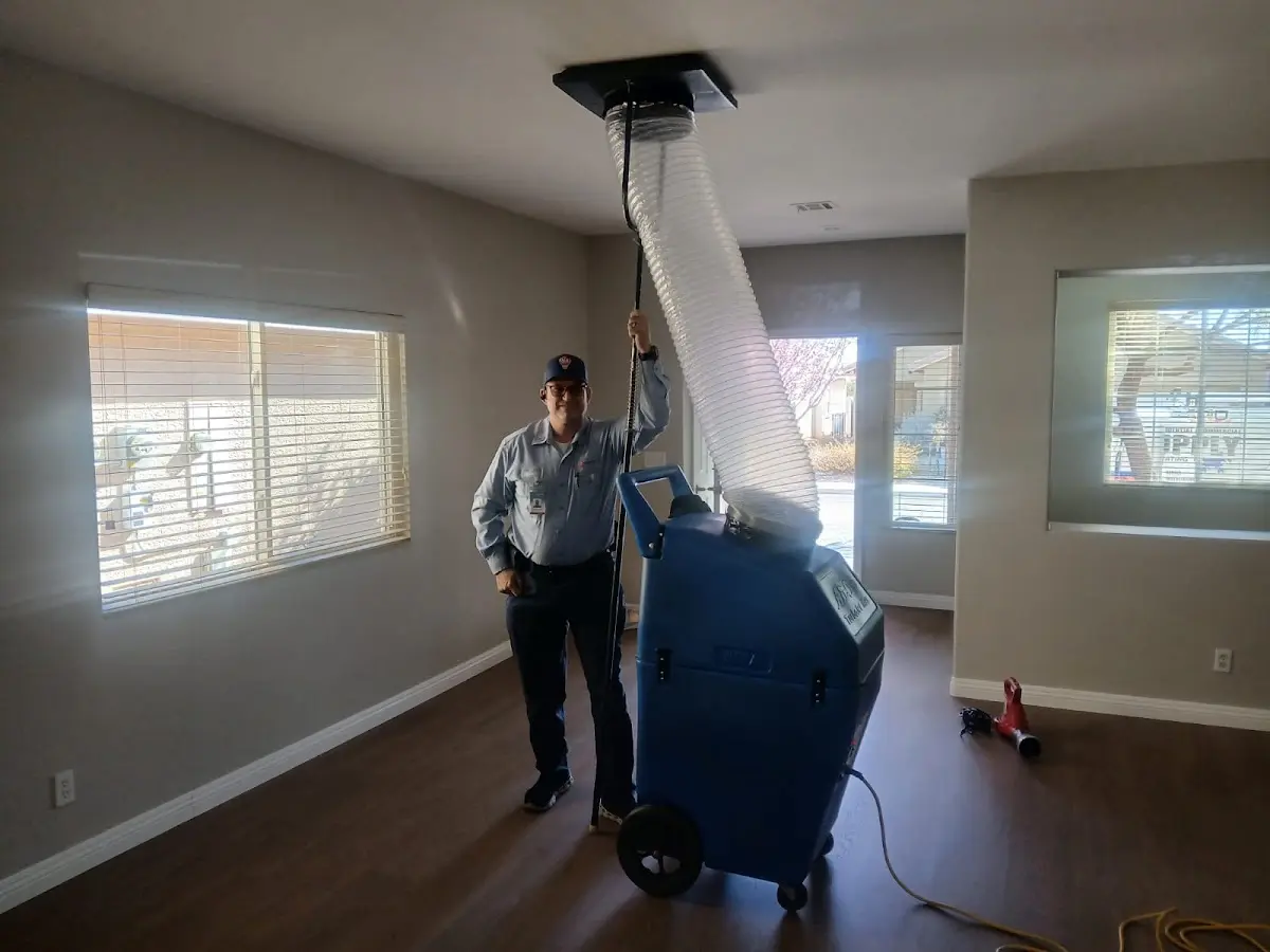 Professional Dryer Vent Cleaning work inside a Robstown home